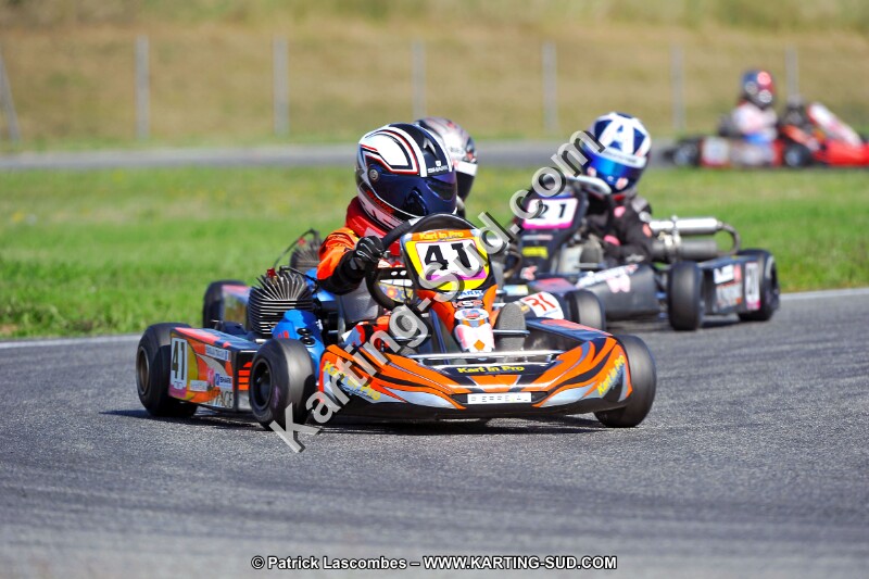 DSC_ (1275).jpg